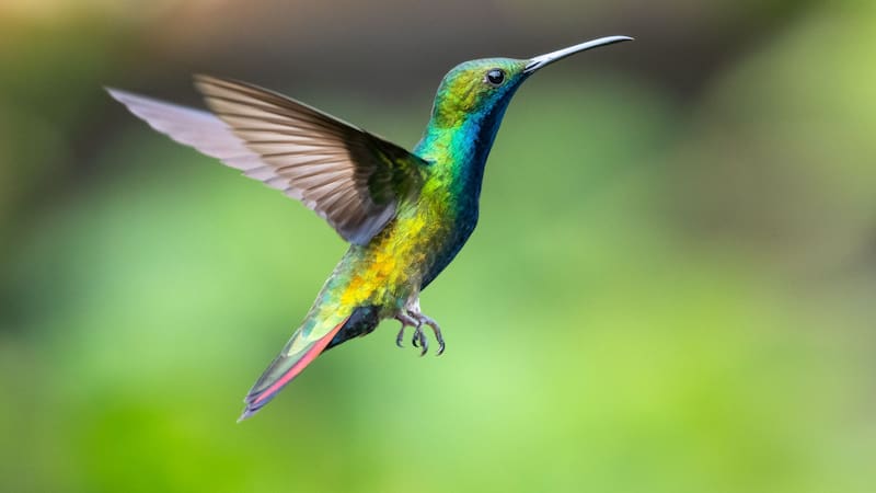 <div class="migrated-promo-image__description"><div class="migrated-promo-image__source">Fuente: Shutterstock</div></div>