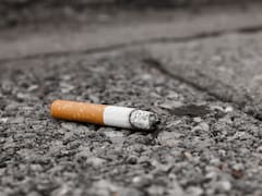 Oficial y confirmado| México multará de forma severa a ciudadanos y extranjeros que arrojen colillas de cigarrillos en estos lugares