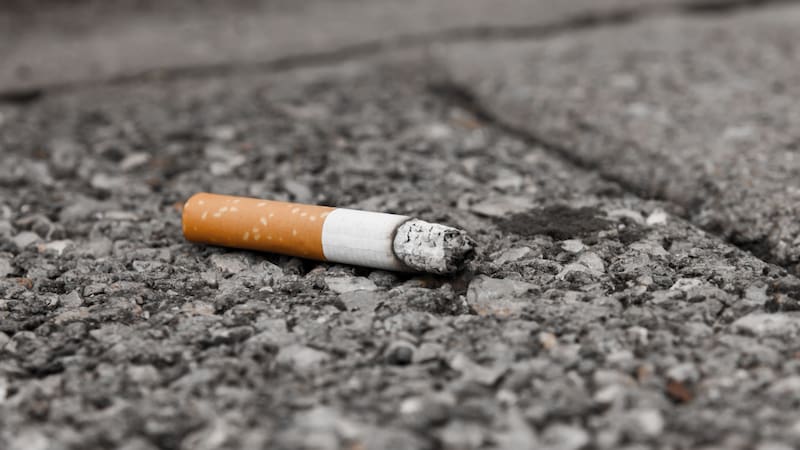 Cuidado a y en donde tiras tus colillas de cigarrillo.