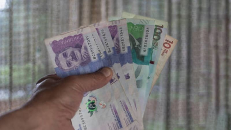 El monto del subsidio puede alcanzar los $100.000 según el municipio y la priorización. (Fuente: Archivo)