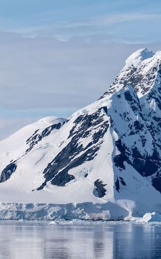 Hallazgo en la Antártida: descubren criaturas marinas nunca antes vistas que podrían reescribir la biología