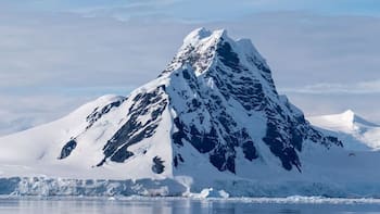Hallazgo en la Antártida: descubren criaturas marinas nunca antes vistas que podrían reescribir la biología