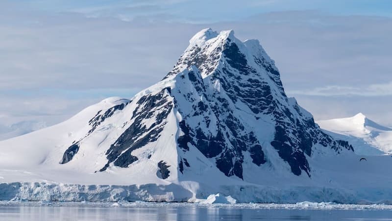 Descubren criaturas marinas nunca antes vistas que podrían reescribir la biología. (Foto: archivo)