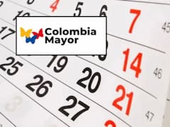 Colombia Mayor: ¿cuáles son las fechas de pago, requisitos y montos?