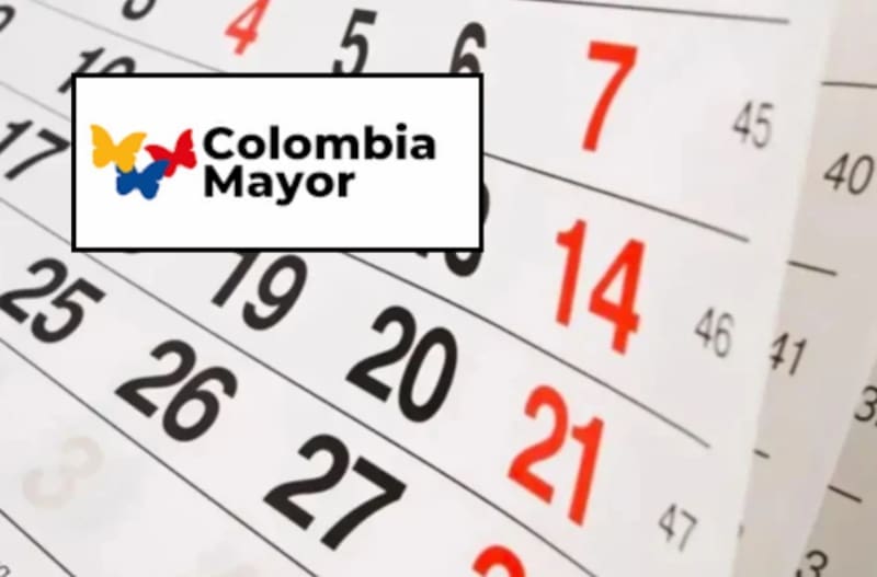 Ayuda de 230.000 pesos disponible para todos los pensionistas vulnerables: ¿cómo solicitarla y cuáles son los requisitos?