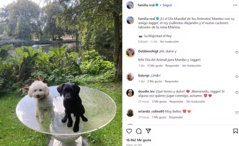 La reina Máxima y el rey Guillermo presentan a Jagger, el nuevo perro de la familia real. (Foto: archivo).