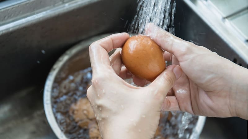 Cáscara de huevo y vinagre: un fertilizante natural y económico para tu jardín. (Fuente: archivo)