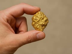 Una fortuna en tu hogar: todos lo botan a la basura pero contiene oro de 22 quilates que vale miles de dólares