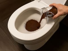 Poner café usado en una taza y tirarlo en el inodoro una vez a la semana: para qué sirve y cuáles son sus beneficios