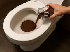 Colocar café usado en una taza y tirarlo en el inodoro una vez a la semana: para qué sirve y qué beneficios tiene
