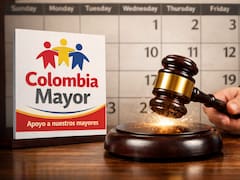 Prosperidad Social y Colombia Mayor: este es link para consultar por cédula si eres beneficiario del pago que inicia el 15 de abril
