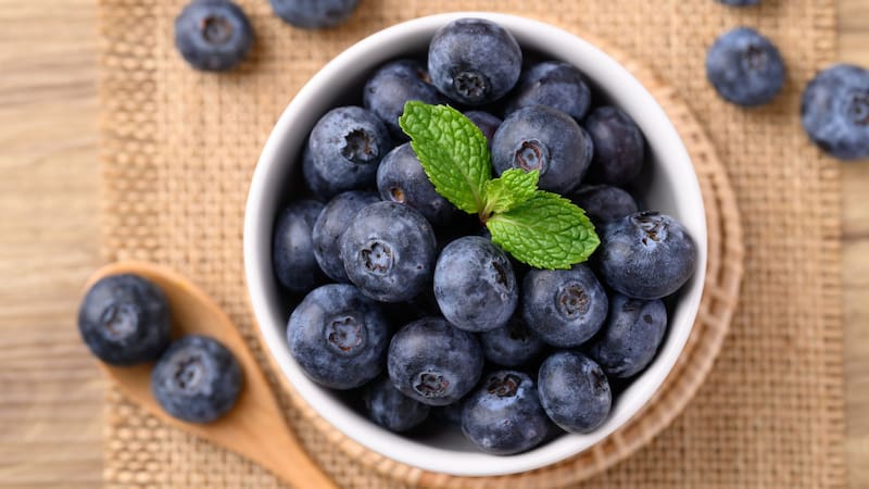 Los arándanos son muy recomendados para una mejor alimentación.