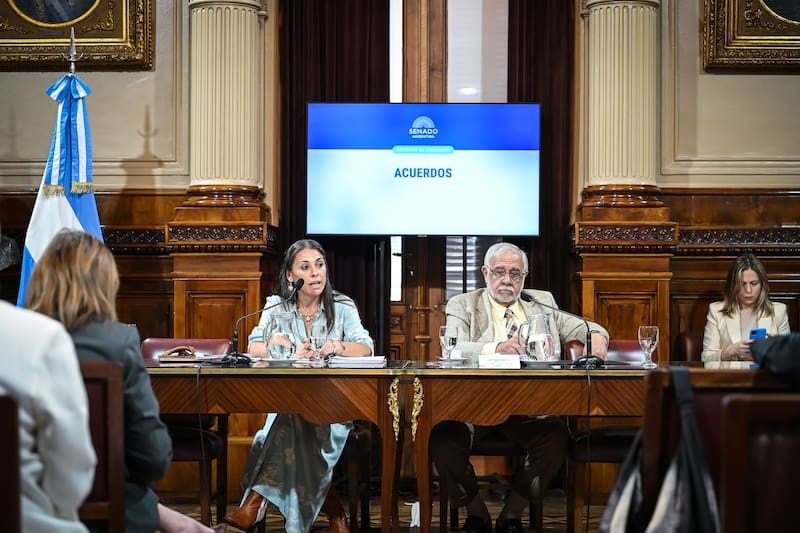El libertario Juan Carlos Pagotto es el titular de la Comisión de Acuerdos