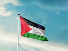 Cómo se llamaba a Gaza en el Antiguo Testamento y dónde vivían el pueblo palestino, según la Biblia