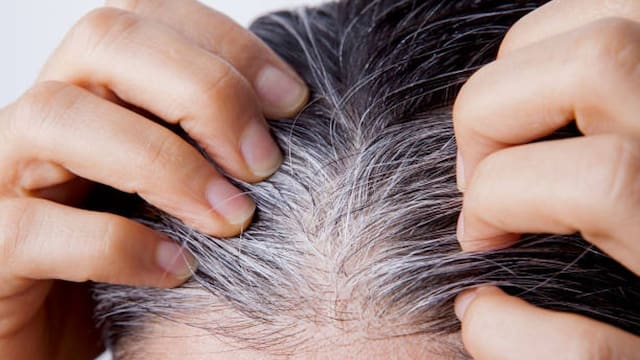 Adiós a las canas: la mezcla casera que ayuda a disimularlas y devuelve el brillo natural al cabello