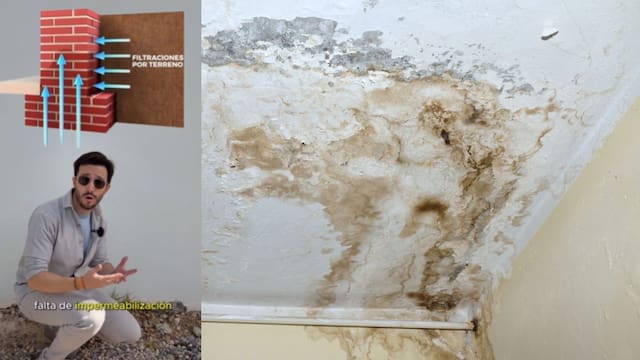 El arquitecto que resolvió el problema de la humedad para siempre en cualquier casa: “hay que usar papel aluminio”