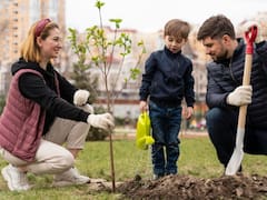 El árbol frutal que debes plantar en tu jardín: tiene poca raíz, no agrieta el suelo y da mucha sombra