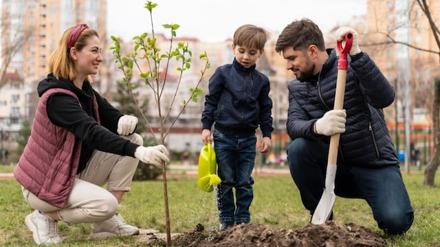 El árbol frutal que debes plantar en tu jardín: tiene poca raíz, no agrieta el suelo y da mucha sombra