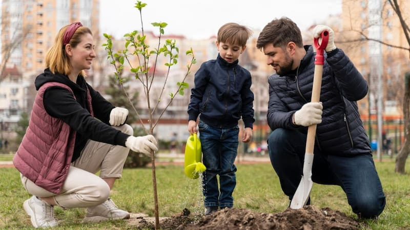 Una opción perfecta para quienes buscan un árbol frutal con raíces no invasivas, sombra duradera y frutas deliciosas en su jardín.