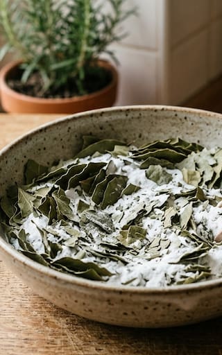 Mezclar bicarbonato con hojas de laurel: para qué sirve y por qué miles lo aplican en sus hogares