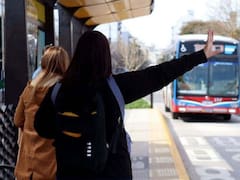 Colectivos del AMBA con nuevos recorridos: qué líneas cambian y cómo quedan ahora