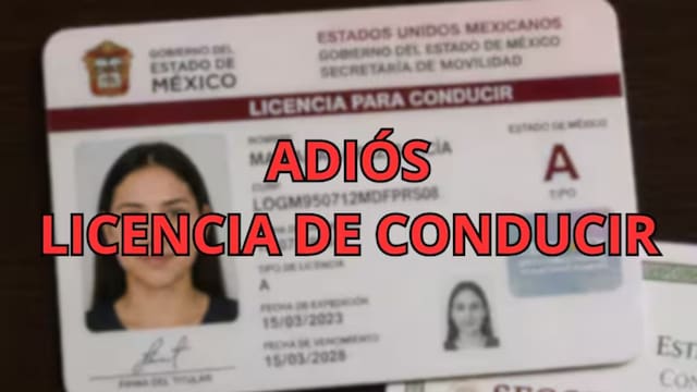 Confirmado: Ciudad de México, Cancún, Mérida y Puebla anularán la licencia para manejar a todos los conductores que incurran en infracciones graves
