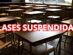 Confirmado por Educación | El Gobierno decretó que no habrá clases por 2 semanas en preescolar, primaria y secundaria en junio