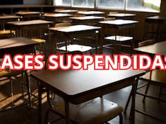 Confirmado por Educación | El jueves y viernes no habrá clases y todos los alumnos tendrán un fin de semana largo en estas provincias