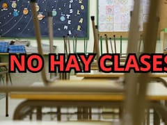 Confirmado por Educación| El lunes no habrá clases y estos alumnos tendrán un fin de semana largo