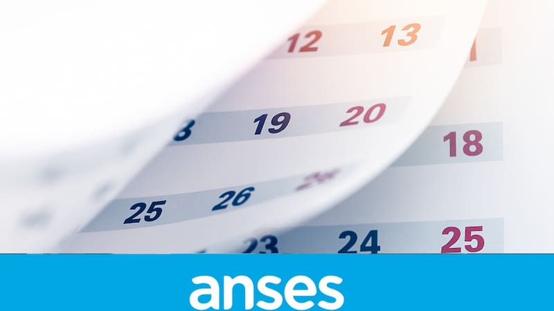 Confirmaron el calendario de pagos de ANSES: cuándo cobran los jubilados, pensionados, AUH y AUE en enero