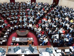 El Gobierno incluyó la baja de la edad de imputabilidad en las sesiones extraordinarias