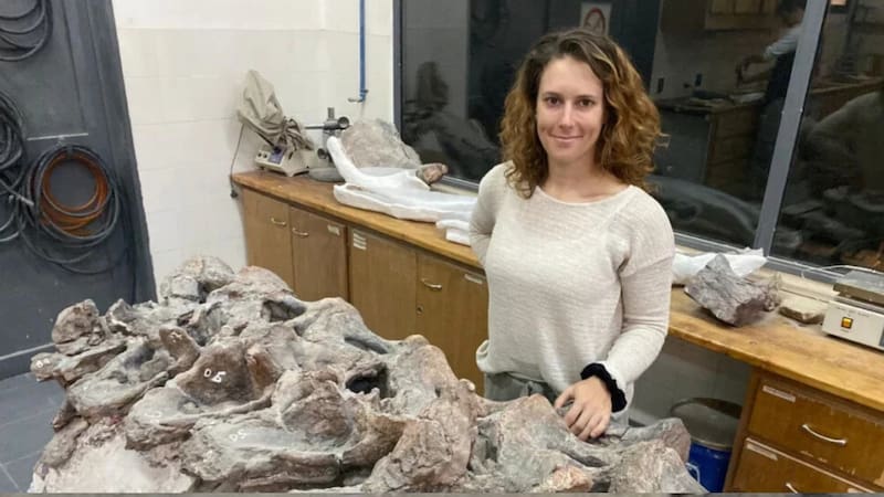 Un equipo de investigadores del CONICET y del Museo Paleontológico Egidio Feruglio (MEF) confirmó el descubrimiento .