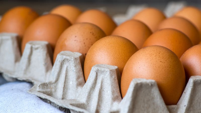 El color de la yema depende principalmente de la alimentación que recibe la gallina. (Fuente: Freepik).