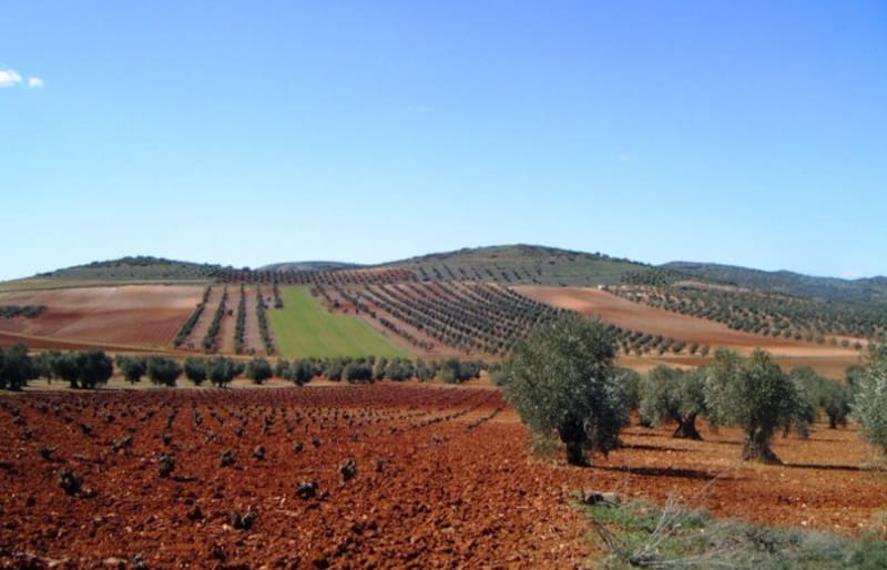 Los espacios naturales de Consuegra son amplios y variados.