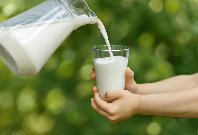 La leche es un alimento rico en calcio y proteínas. Fuente: archivo.