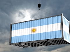 ¿Fin del boom importador? Las razones, las alertas y cómo sigue