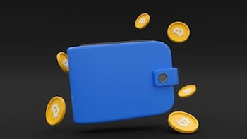 ¿Cómo puedo encontrar la mejor billetera cripto para mí?