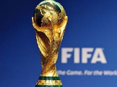 Viaje al Mundial 2026: el anuncio de EE.UU. que cambia los planes de los hinchas de la Selección