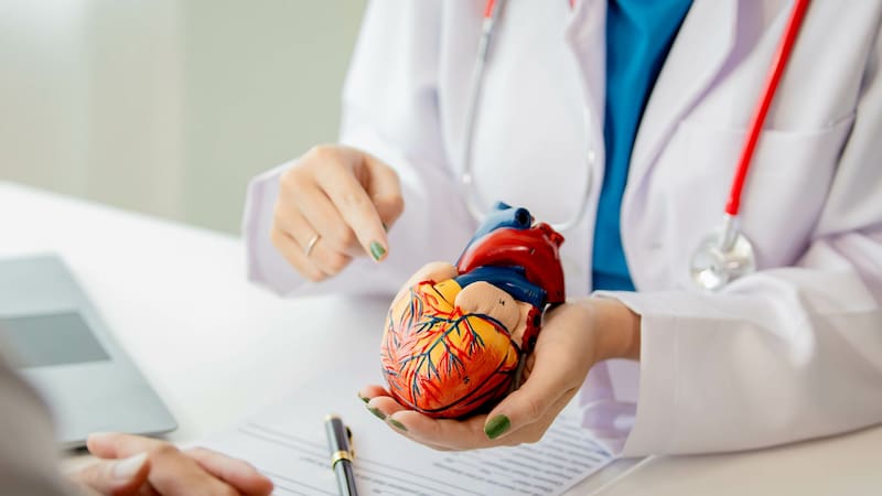 Los 5 alimentos con más potasio que ayudan a controlar la presión arterial, según expertos de Harvard.