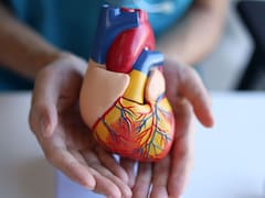 Ni caminata, ni bici: este ejercicio clave cuida el corazón y mejora la circulación