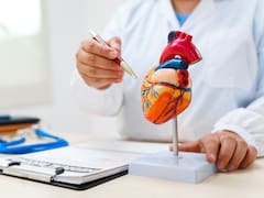 Not a stationary bike, not the gym, not walking: the best exercise for your health and to improve heart circulation