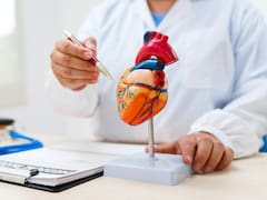 Ni bicicleta, ni gimnasio, ni caminata: el mejor ejercicio para cuidar el corazón y mejorar la circulación