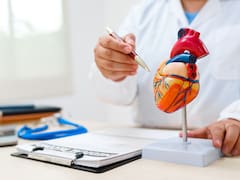 Ni bicicleta, ni gimnasio, ni caminata: el mejor ejercicio para cuidar el corazón y mejorar la circulación
