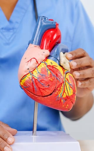 Ni caminata, ni gimnasio, ni bicicleta: el ejercicio definitorio para cuidar el corazón y mejorar la circulación