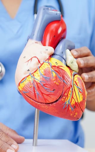 Ni caminata, ni bicicleta, ni gimnasio: el ejercicio más efectivo para cuidar el corazón y mejorar la circulación