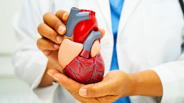 Ni bicicleta fija ni gimnasio | El ejercicio ideal para fortalecer el corazón y regular la presión arterial