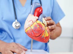 Ni correr, ni gimnasio, ni bicicleta fija: el ejercicio clave para cuidar el corazón y mejorar la circulación