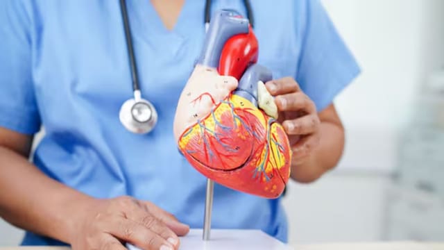 Ni correr, ni gimnasio, ni bicicleta fija: el ejercicio clave para cuidar el corazón y mejorar la circulación