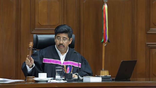 Por normativa, nadie podrá comercializar animales: la Corte Suprema los reconoció como seres sintientes y ya llevó a cabo la orden de prohibición