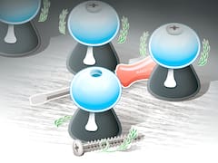 Hacia la racionalidad indemnizatoria: ordenando la distorsión financiera en las sentencias judiciales